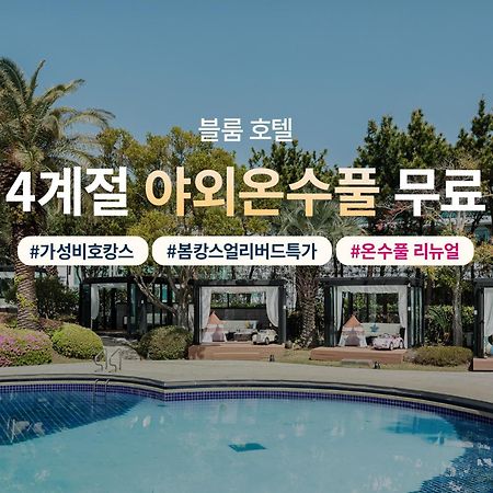 Bloom Hotel Jeju Bagian luar foto